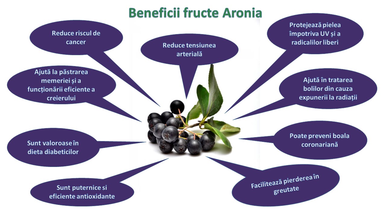Beneficii fructe Aronia